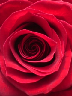 Other Wallpapers 0733